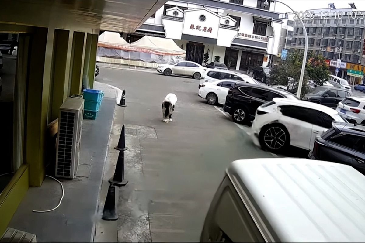 Hrozivý záběr z Číny. Muž si chtěl na ulici zavázat tkaničku, nacouvala do něj dodávka