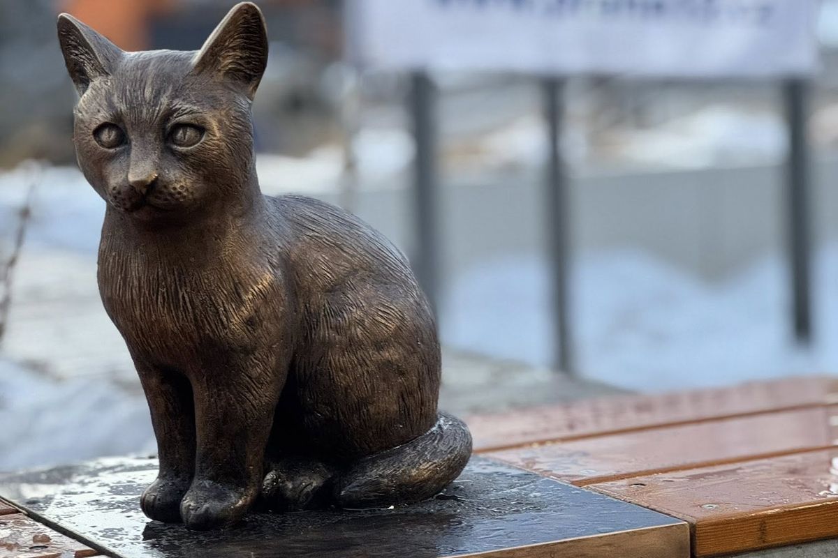 Kocour Mikeš má vlastní sochu. Modřanské celebritě ho vyrobila světoznámá dílna