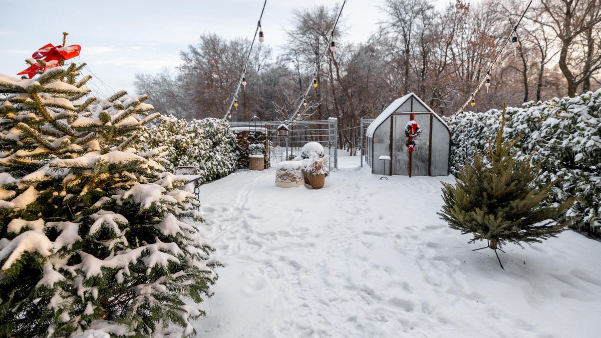 Nešmejdit po trávníku a další věci, které v zimě nedělat, když je zahrada pod sněhem