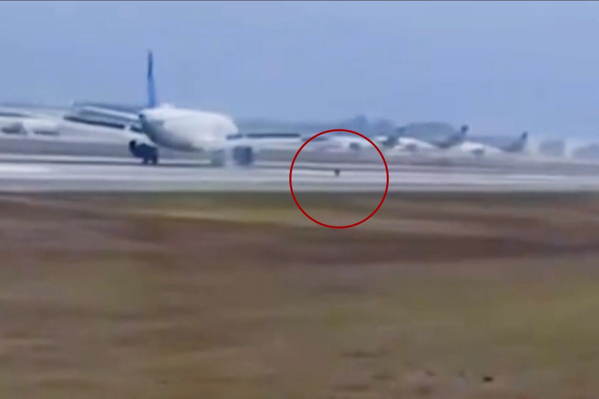 Drama na Floridě. Airbusu s 200 cestujícími upadlo při tvrdém přistání přední kolo