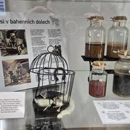 V expozici nemůže chybět několik druhů bahna. 