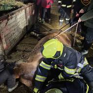 Záchrana koně na Kroměřížsku