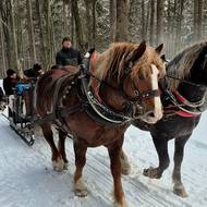 Pří jizdě do kopce museli dospělí ze saní vystoupit, aby odlehčili koním.