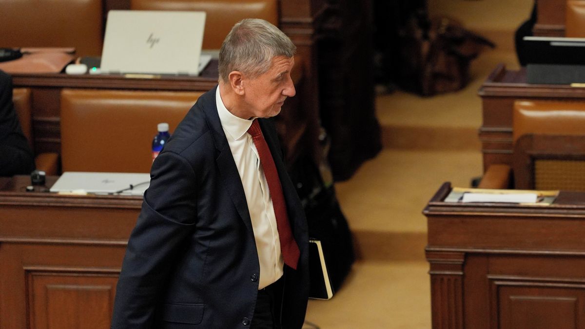 Nevydáním Babiše kauza Čapí hnízdo nekončí. Průtahy mohou mít vliv i na trest