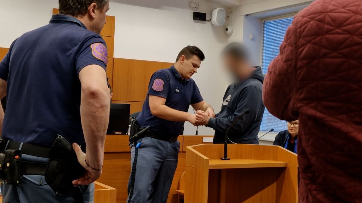 Vrah z Jevíčka byl příčetný, potvrdili znalci. Za vraždu půjde na 17 let do vězení