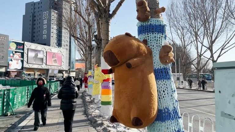 Aby jim nebyla zima. Řada stromů je oblečená do roztomilých barevných svetrů