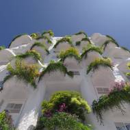 Pohled z ulice odhalí zaoblené linie balkonů osázených zelení.