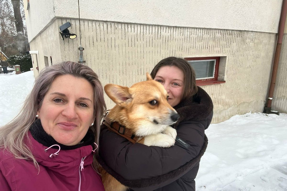 Pes Tommi bloudil devět dní v mrazu a sněhu v lesích kolem Lipna. Všichni hledali podivnou lišku