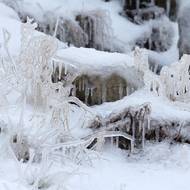 Kropení vodou se projevilo i na okolní přírodě.