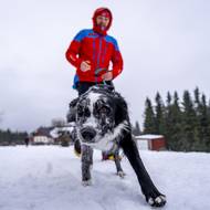 Psi nevědí, jak důležitou práci dělají. Hledání lidí má být hlavně zábava. 
