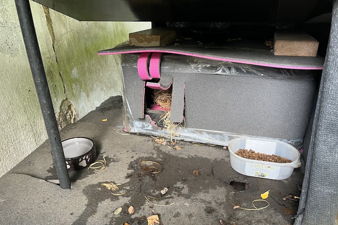 Pane starosto, jste krutý. Radnice ostravské části lidem brání, aby krmili toulavé kočky