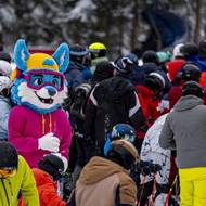 I tak pod sjezdovkou stály davy.