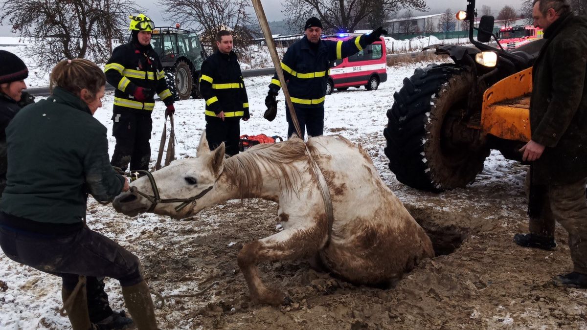 S jezdkyní na kobyle se na Krumlovsku propadla zem. Obě spadly do jámy po kopáčích vltavínů