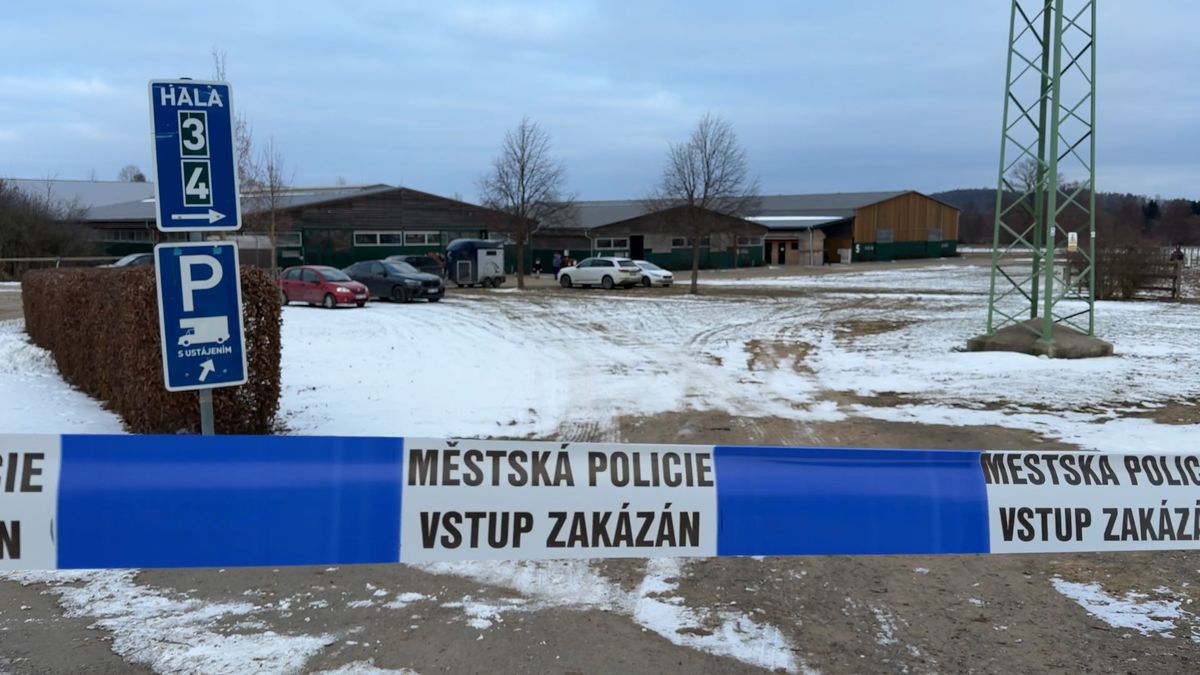 Policie našla matku mrtvého novorozence nalezeného na Příbramsku. Prověřuje usmrcení z nedbalosti