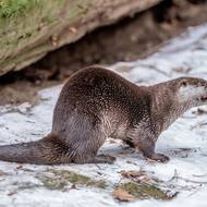 ... ale slíbená rybička nakonec zabrala. 