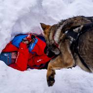 Figuranti měli ve sněhu umělé záhraby, kde je psi hledali. 