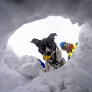Záchrana z laviny z pohledu figuranta. 