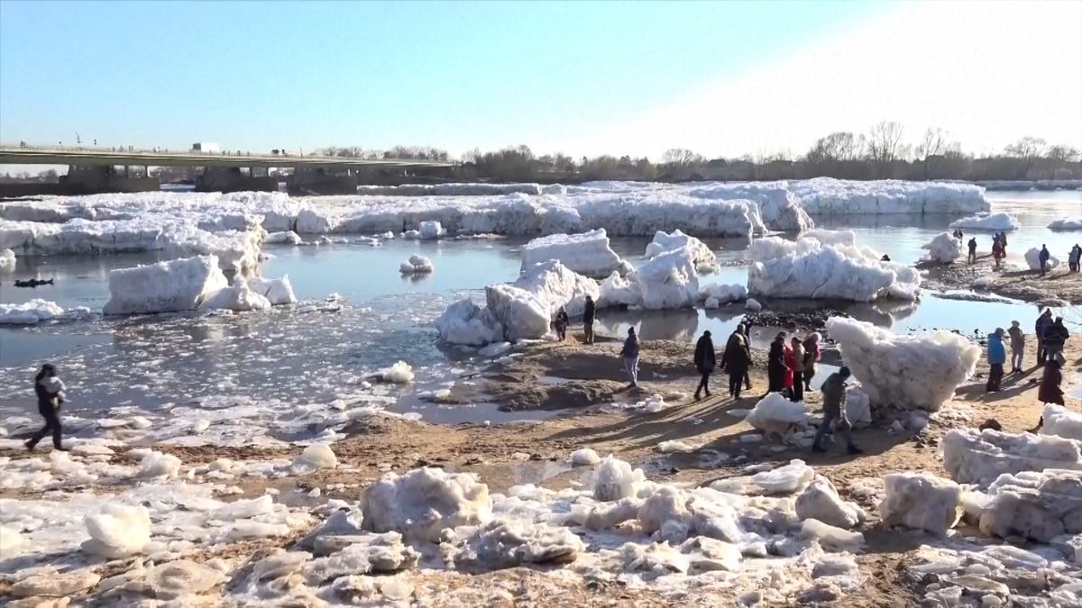 Labe v Německu kvůli obřím krám připomíná Arktidu