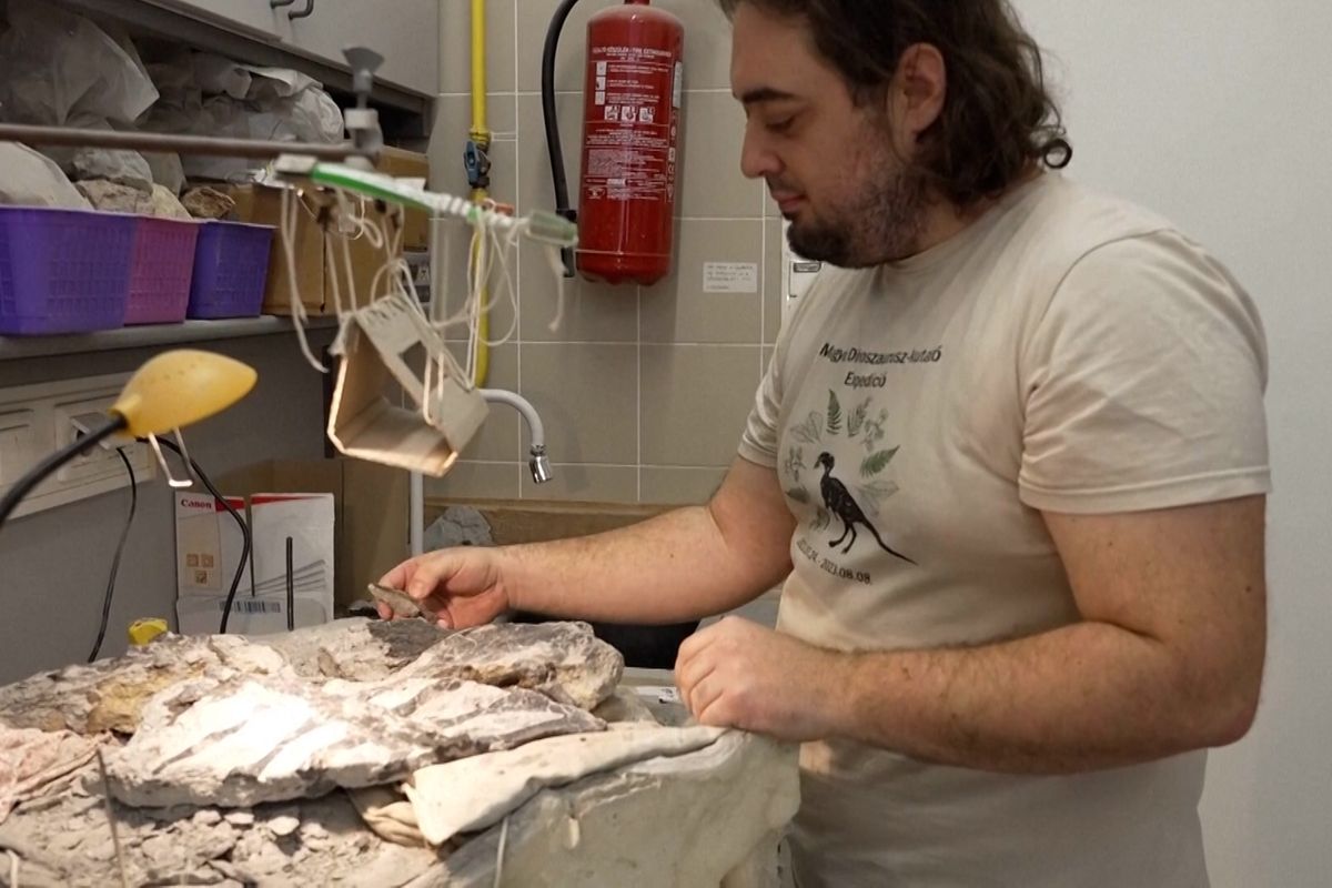 „Převlečení“ dinosauři: Proč se evropští rohatci tak dlouho vyhýbali pozornosti vědců