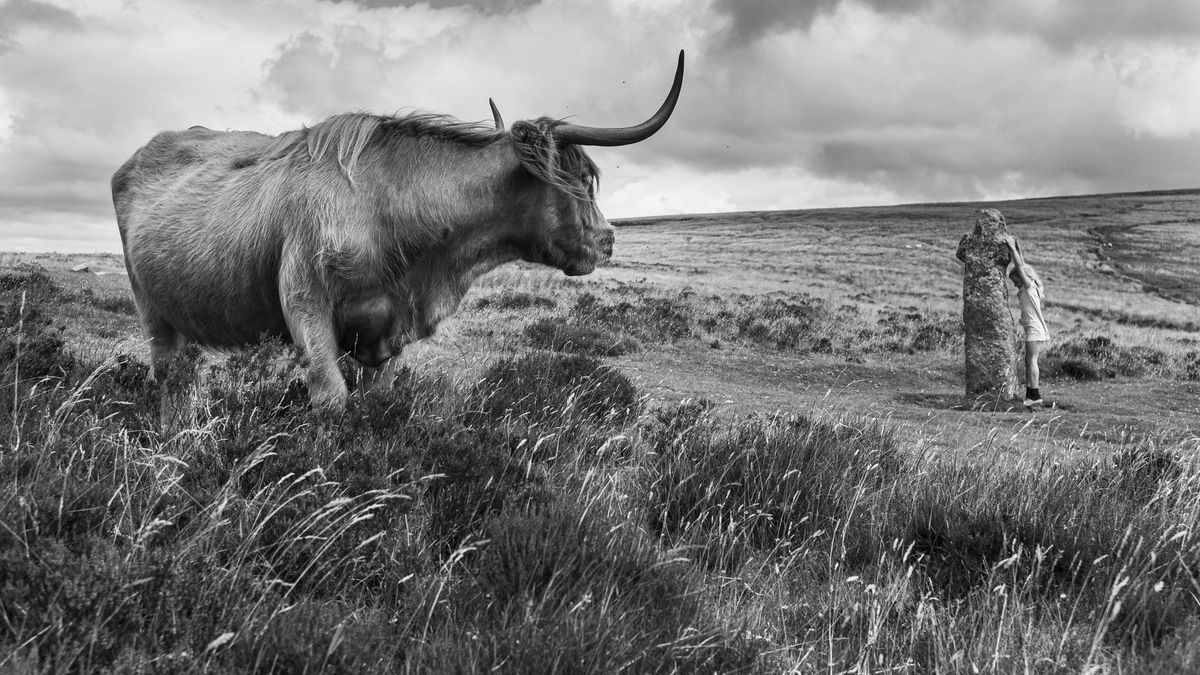 Putovní projekt Poznej Evropu představí studentům rozmanitost starého kontinentu