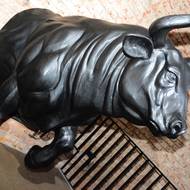 Býk je mytickým symbolem síly. (Bull, 2025)