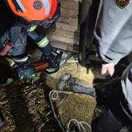 Záchrana koně na Kroměřížsku