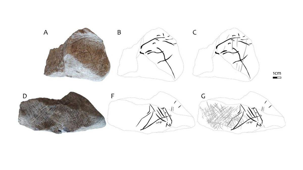 Jedinečný nález. Vědci odhalili na kameni z jeskyně Švédův stůl rytiny koní staré 15 000 let