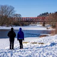Berounka po letech zamrzá. Díky pomalejšímu toku bez přehrad se kousek od Prahy dá na řece bruslit. 