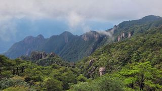 Čeští vědci zjistili podle letokruhů intenzitu tajfunů v minulosti