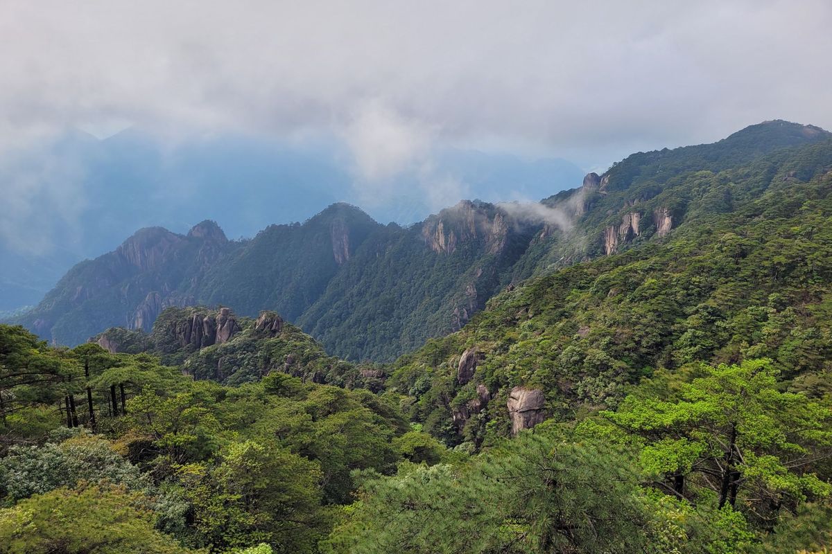 Čeští vědci zjistili podle letokruhů intenzitu tajfunů v minulosti