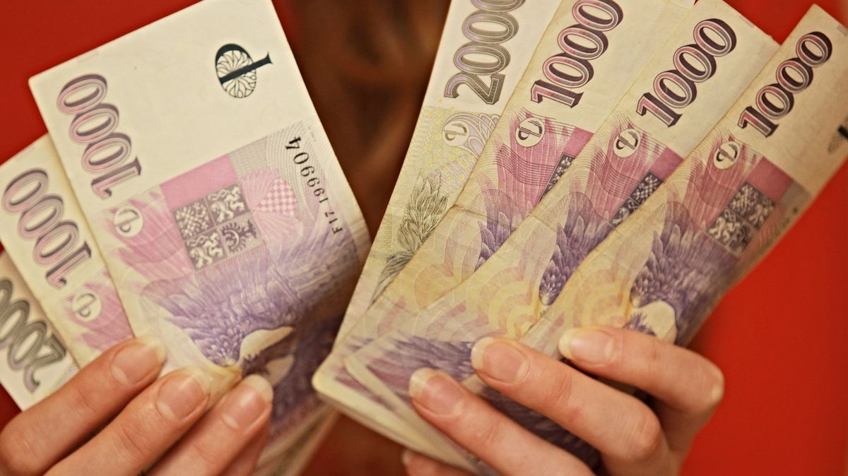 PŘEHLEDNĚ: Většina penzijních fondů loni zabodovala, některé ale kvůli dolaru zaostaly za očekáváním