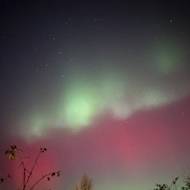 Zelená barva přecházela v červenou.