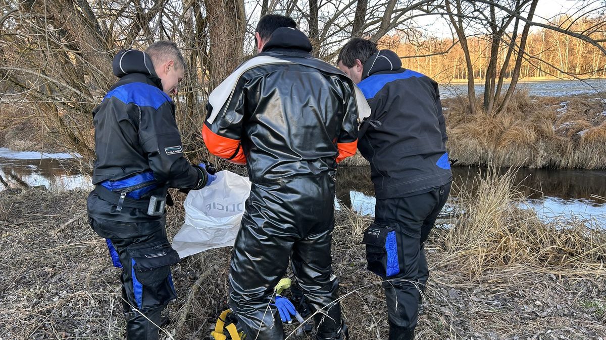 Muž, který své partnerce na Strakonicku usekl hlavu, se psychicky zhroutil