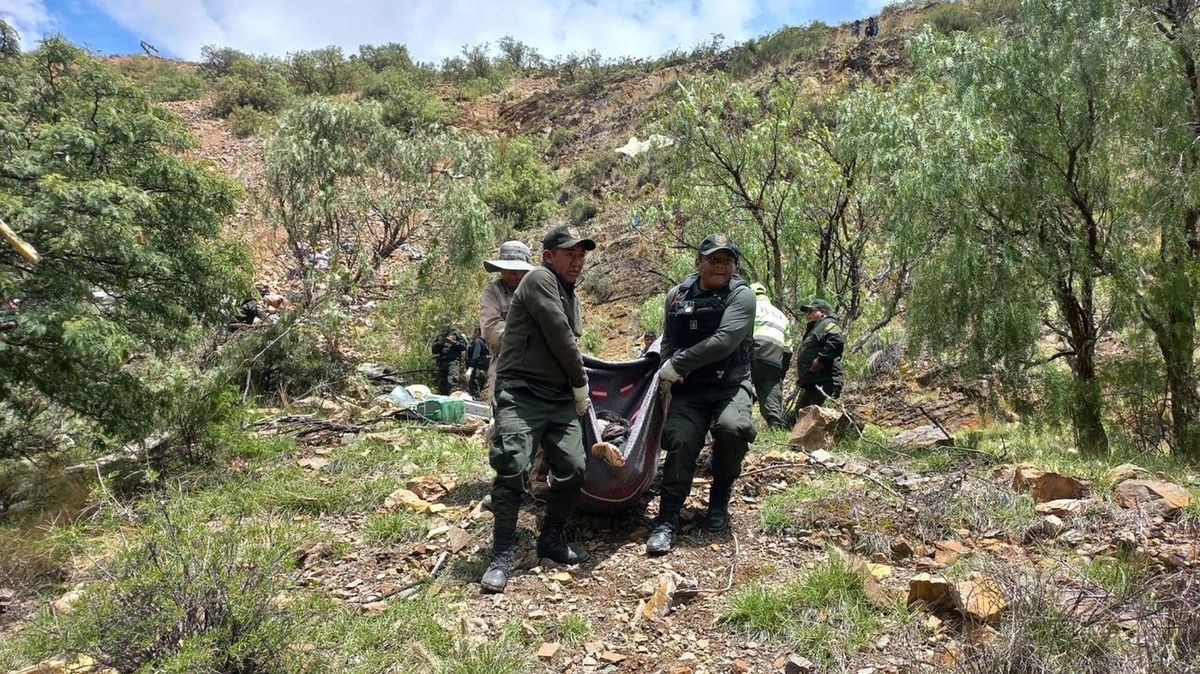 Třináctiletý chlapec v Bolívii vezl v minibusu opilce a narazil do stromu. Zemřelo 11 lidí
