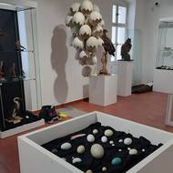 Vejce nabízejí nejen širokou škálu velikostí, ale i barev.