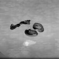 Modul dopadl poblíž San Diega. 