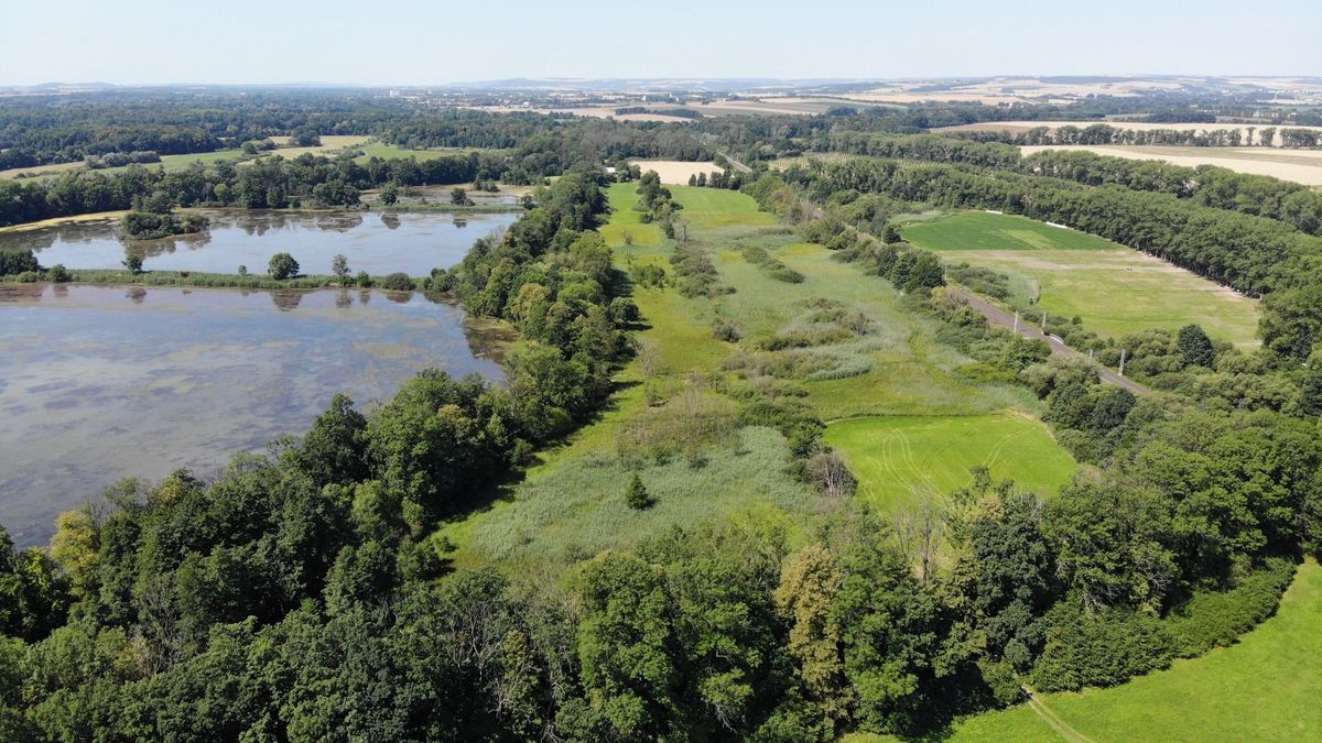 Jistebnické mokřady jsou rezervací, výlety do Poodří to nijak neomezí