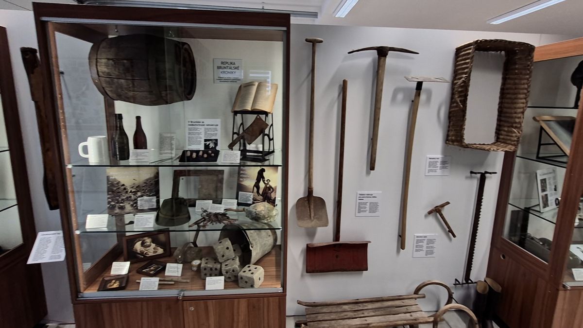 Po zubaté žábě má Bruntál i muzeum bahna, jeho majitel vsadil na fenomén seriálu Comeback