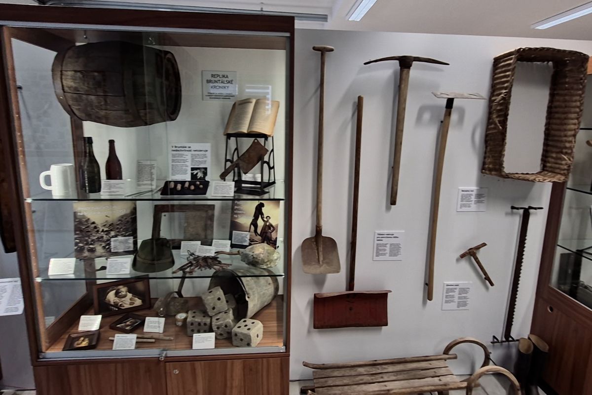 Po zubaté žábě má Bruntál i muzeum bahna, jeho majitel vsadil na fenomén seriálu Comeback 