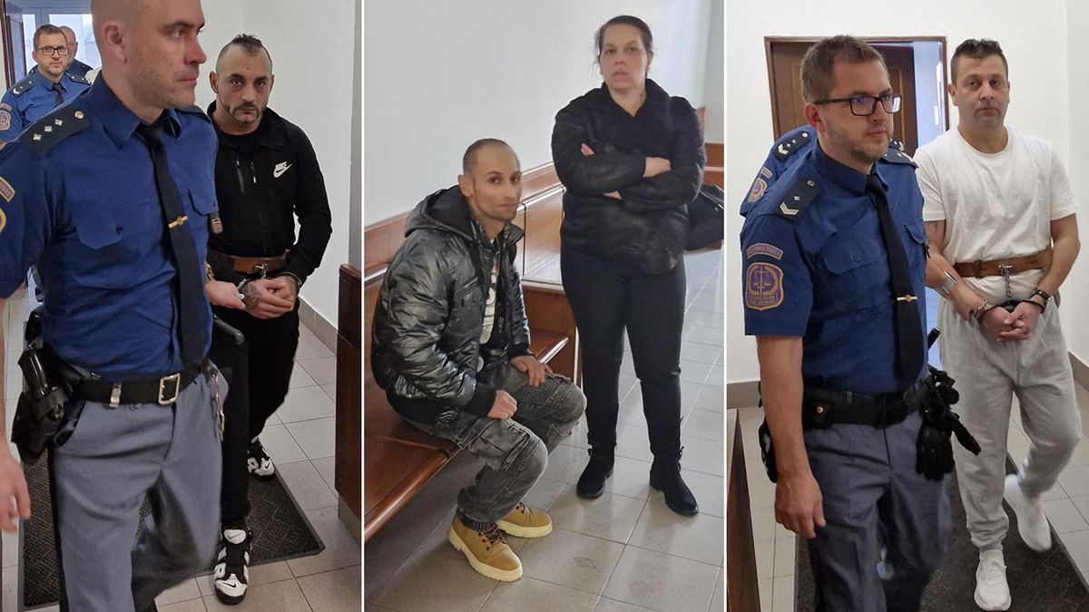 Šli si pro miliony, ale ty nenašli. Soud potvrdil trojici Slováků tresty za přepadení chataře