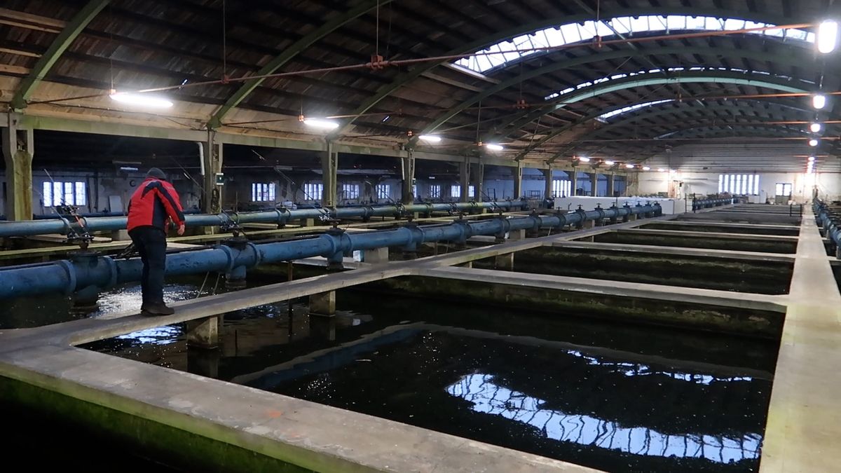 Plzeň chce zachránit světový unikát, sto let starou vodárenskou raritu