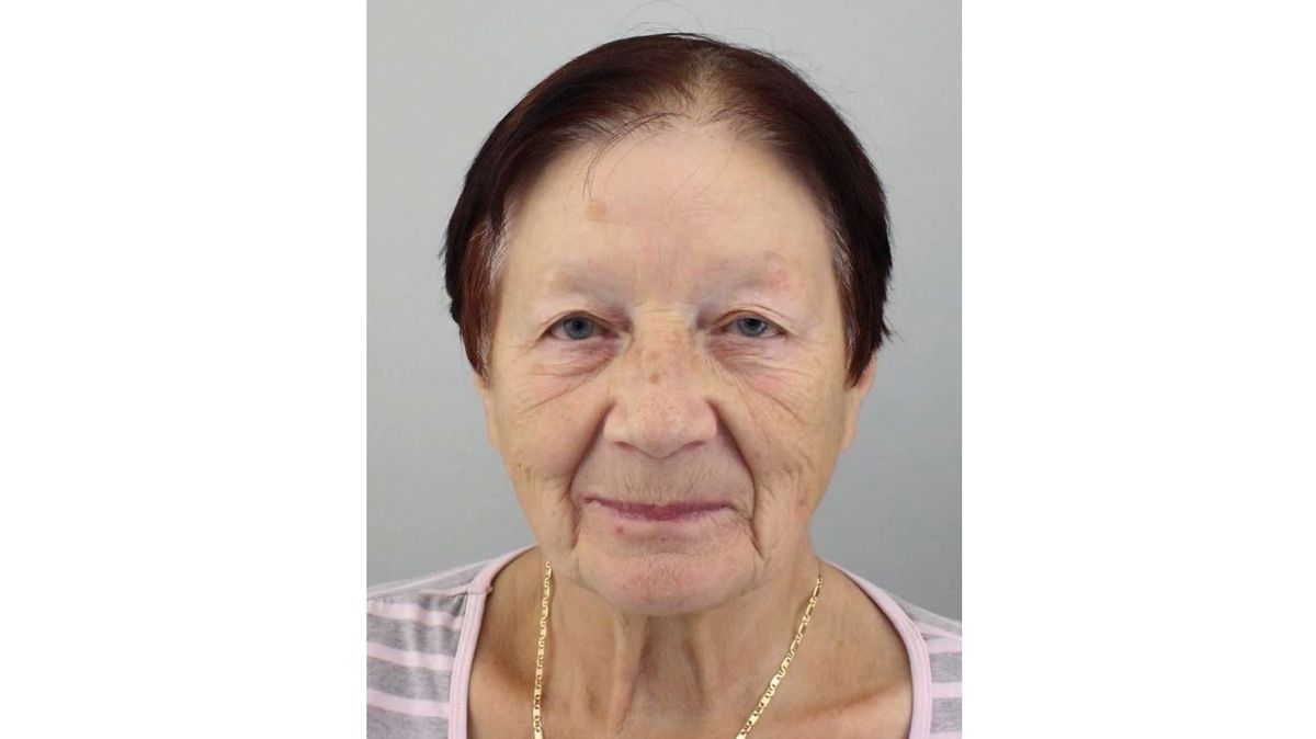 Desítky policistů pátrají na Lounsku po pohřešované seniorce