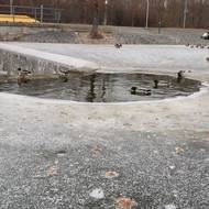 Výpustě jsou místa s tenčím ledem.