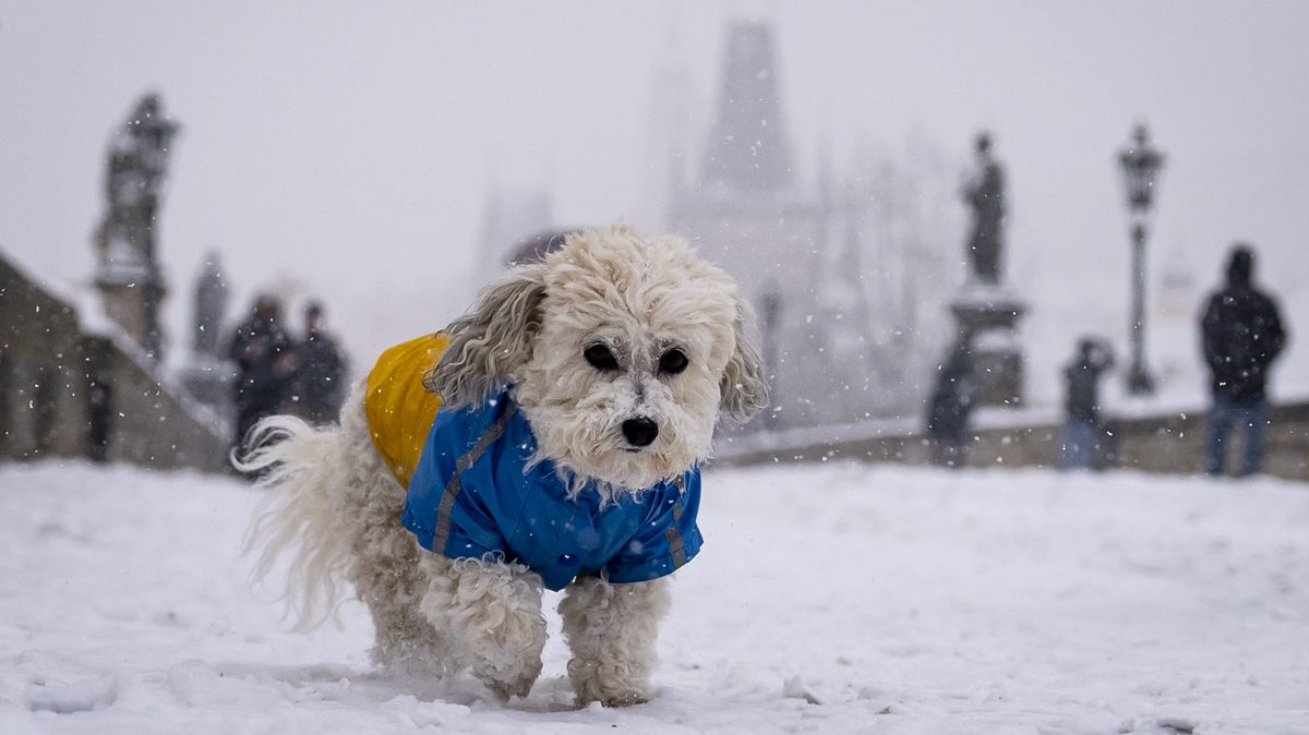 FOTO: Zasypaná Praha. Památky osiřely a sníh komplikoval dopravu