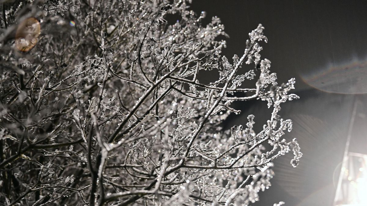 Do Česka dorazí mrazy