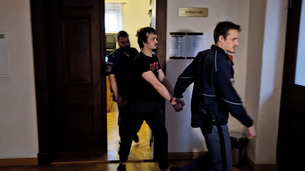 Sledoval expřítelkyni a zabarikádoval se před jejím bytem, po policistovi šel paralyzérem. Dostal 9 měsíců