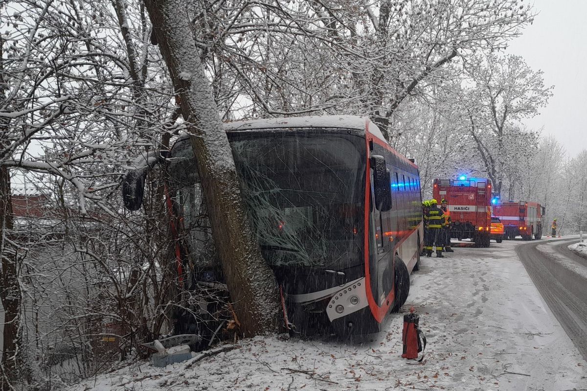 V Plzni naboural autobus do stromu