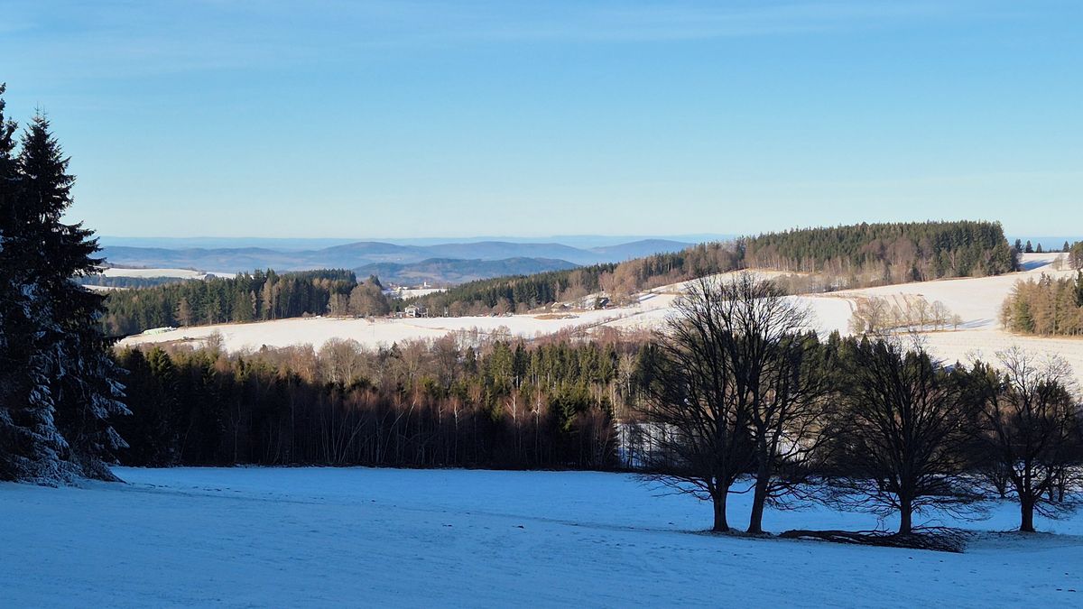 Javorná není žádný šumavský Václavák. Bohatstvím vrchu je nenápadnost