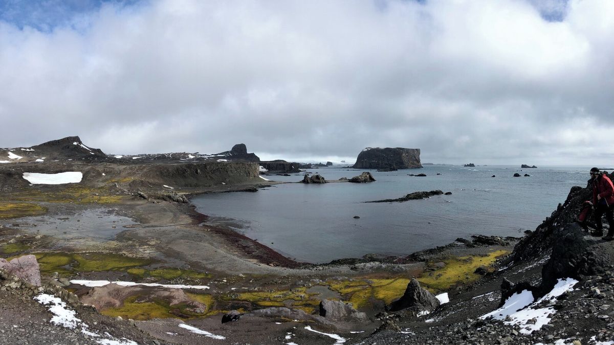 Mimořádně odolné mikroorganismy z Antarktidy možná pomohou k vývoji nových postřiků