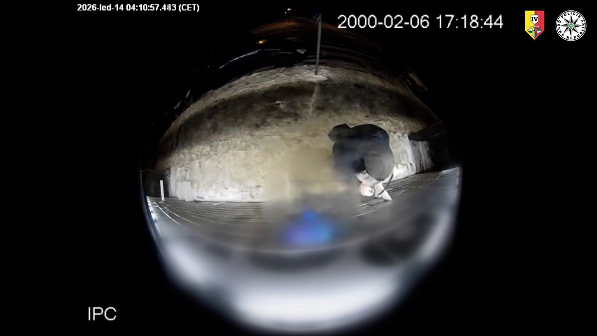 Výdejní boxy v Praze otevíral páčidlem. Točila ho kamera a chodil často, tak na něj počkali policisté